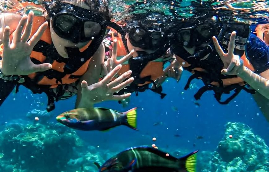 Scuba Diving Full Day Boat Trip for Beginners