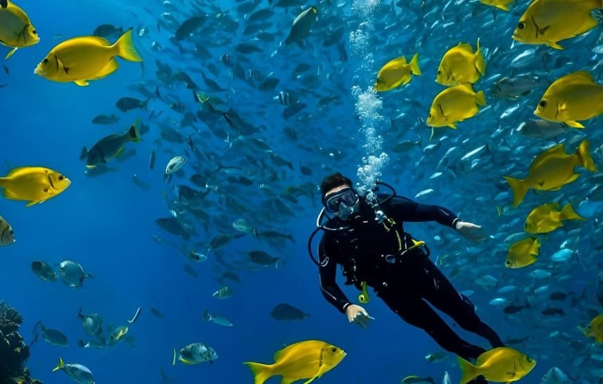 Private Turtle Beach Trip from Hurghada – VIP