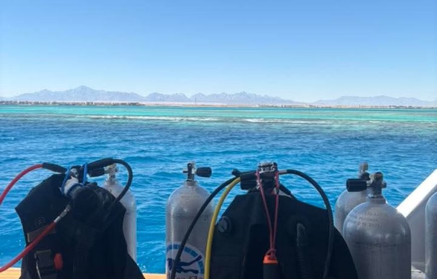 Scuba Diving Full Day Boat Trip for Beginners