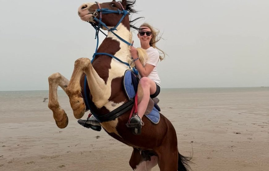 Horse Riding & Swimming in the Red Sea – Hurghada