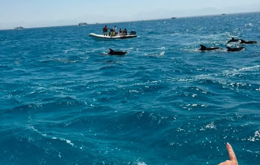 Mahmya Island Boat Trip in Hurghada