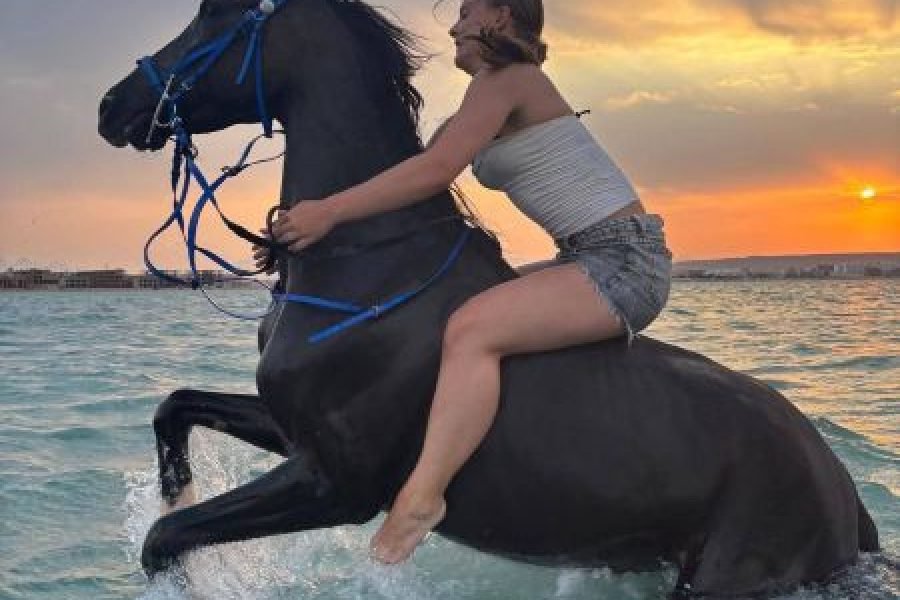 Horse Riding & Swimming in the Red Sea – Hurghada