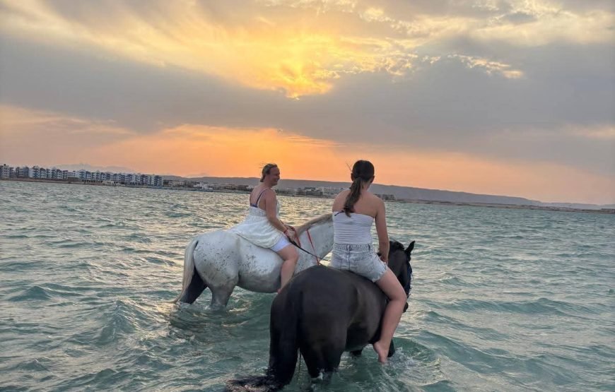 Horse Riding & Swimming in the Red Sea – Hurghada
