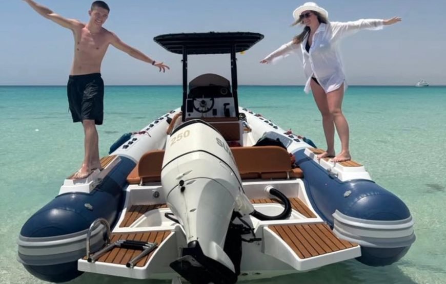 Speed Boat Private 4H guarantee Swimi with Dolphins