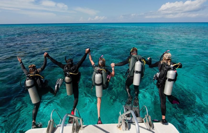 Scuba Diving Full Day Boat Trip for Beginners