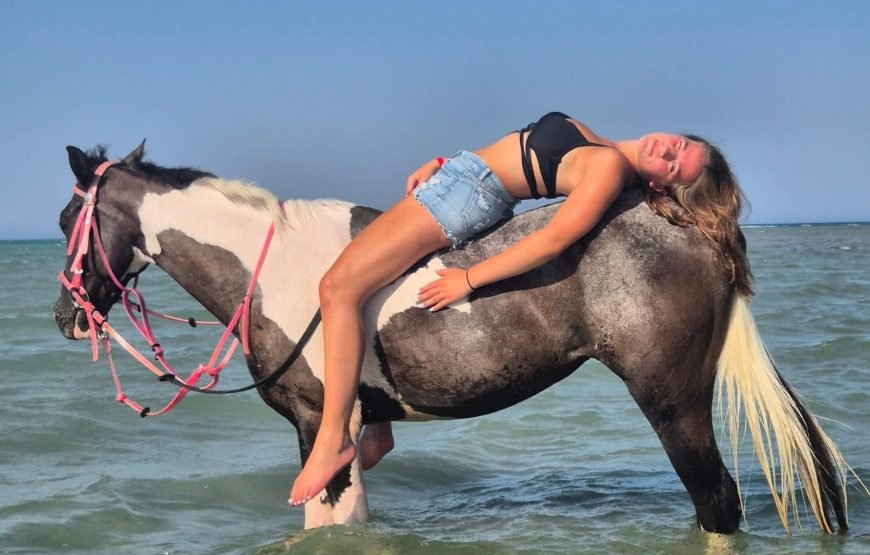 Horse Riding & Swimming in the Red Sea – Hurghada