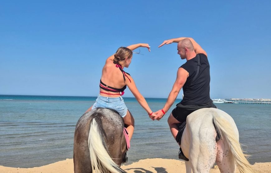 Horse Riding & Swimming in the Red Sea – Hurghada
