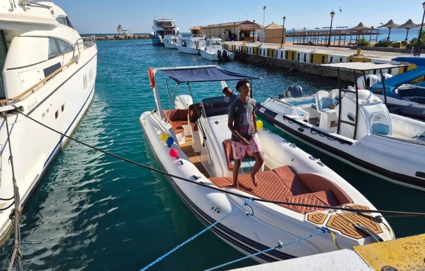 Speed Boat Private 4H guarantee Swimi with Dolphins