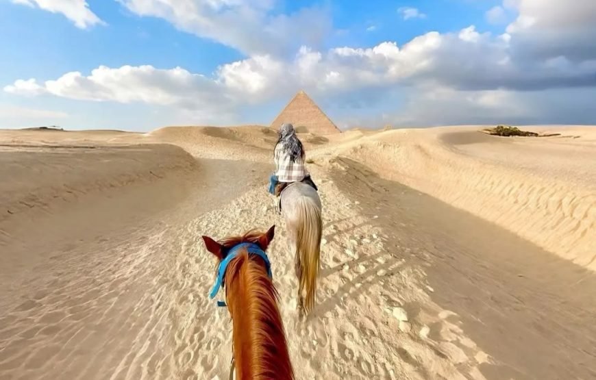 Private Cairo Over Day Tour