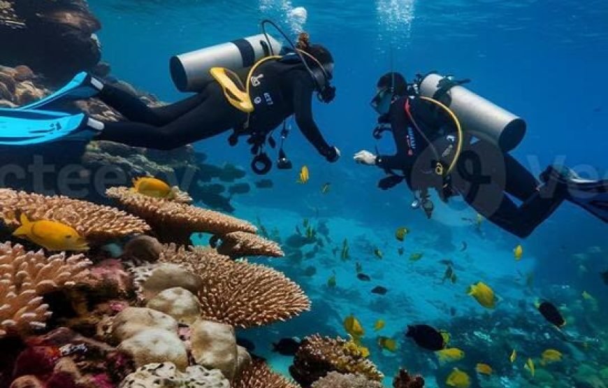 Scuba Diving Full Day Boat Trip for Beginners