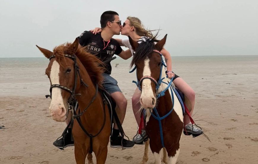 Horse Riding & Swimming in the Red Sea – Hurghada