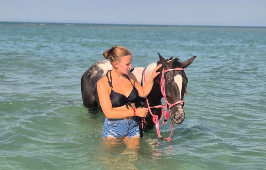 Horse Riding & Swimming in the Red Sea – Hurghada