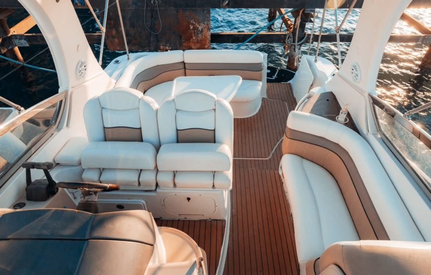 Speed Boat Private 4H guarantee Swimi with Dolphins