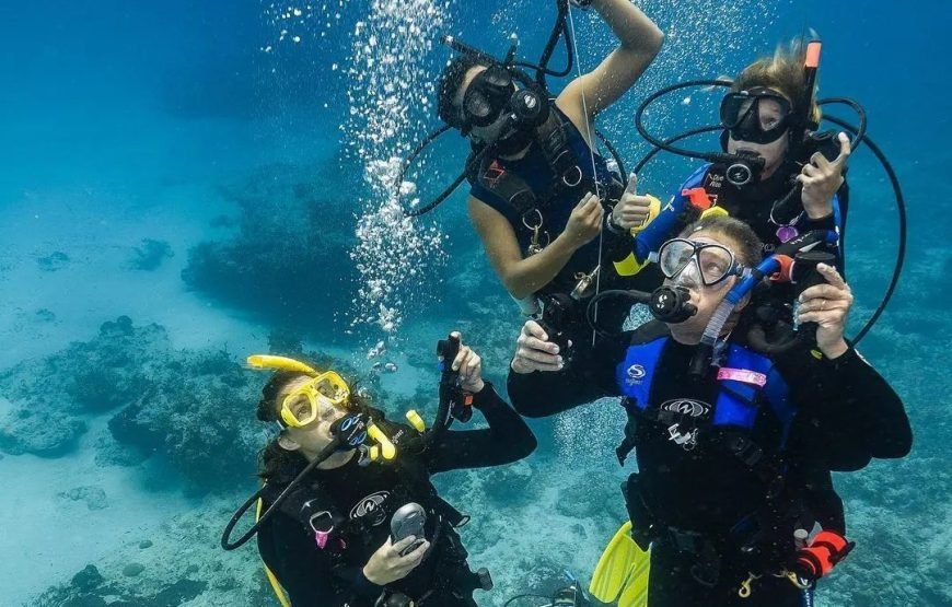 Scuba Diving Full Day Boat Trip for Beginners