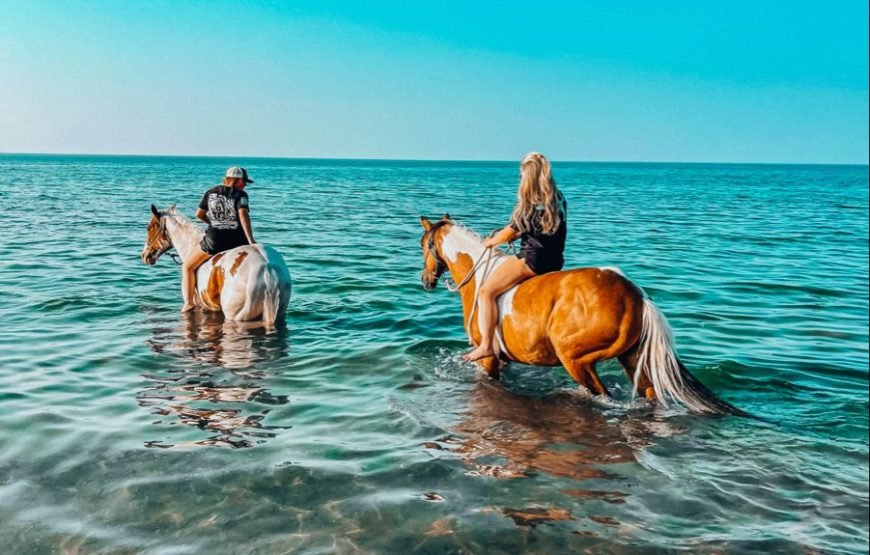 Horse Riding & Swimming in the Red Sea – Hurghada