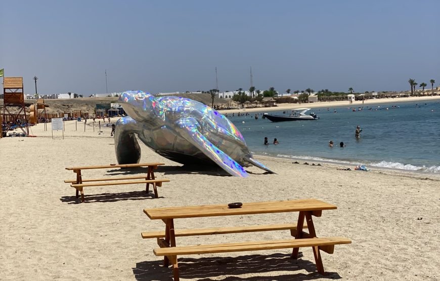 Private Turtle Beach Trip from Hurghada – VIP