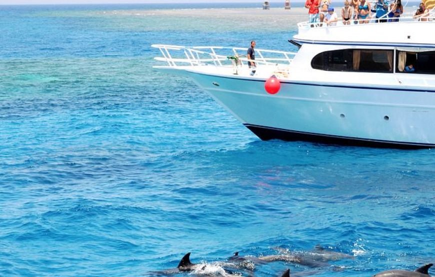 Dolphin House Snorkeling Trip from Hurghada