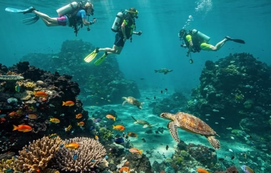 Scuba Diving Full Day Boat Trip for Beginners