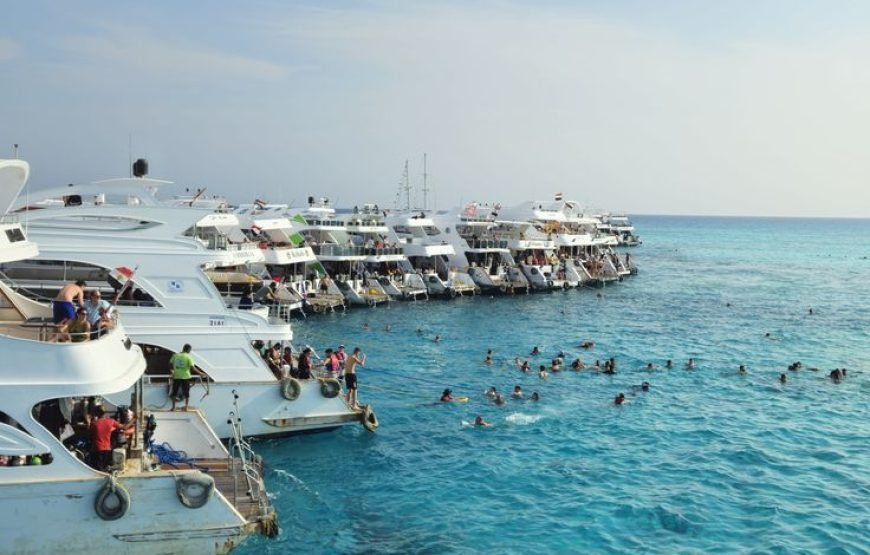 Dolphin House Snorkeling Trip from Hurghada