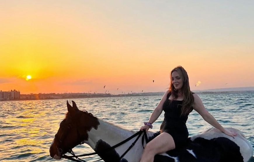 Horse Riding & Swimming in the Red Sea – Hurghada