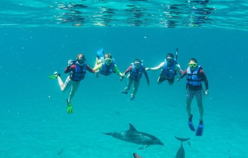 Dolphin House Snorkeling Trip from Hurghada