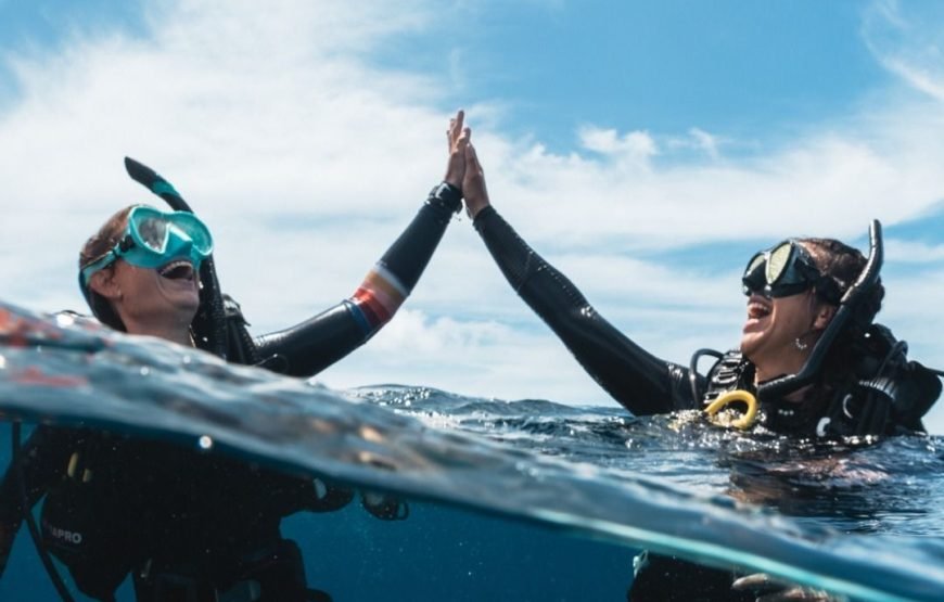 Scuba Diving Full Day Boat Trip for Beginners