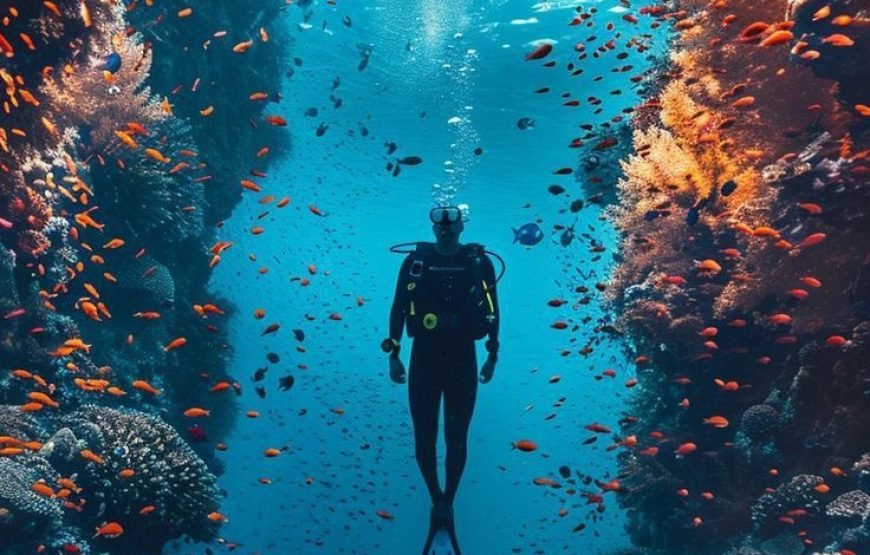 Scuba Diving Full Day Boat Trip for Beginners