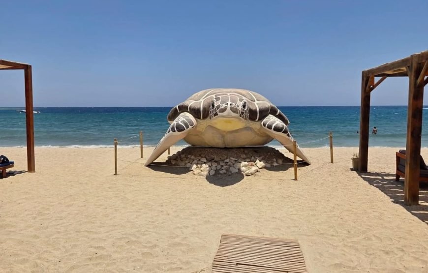 Private Turtle Beach Trip from Hurghada – VIP