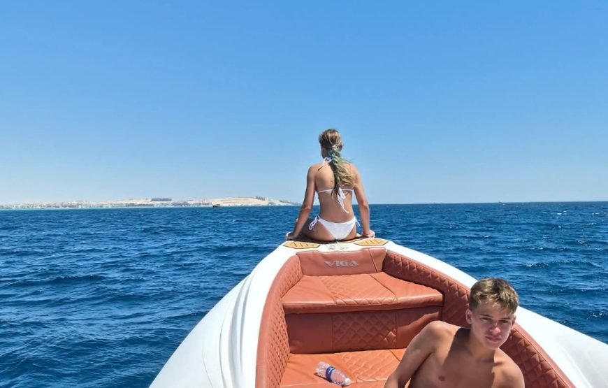 Speed Boat Private 4H guarantee Swimi with Dolphins
